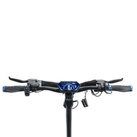 HILEY Tiger EVO